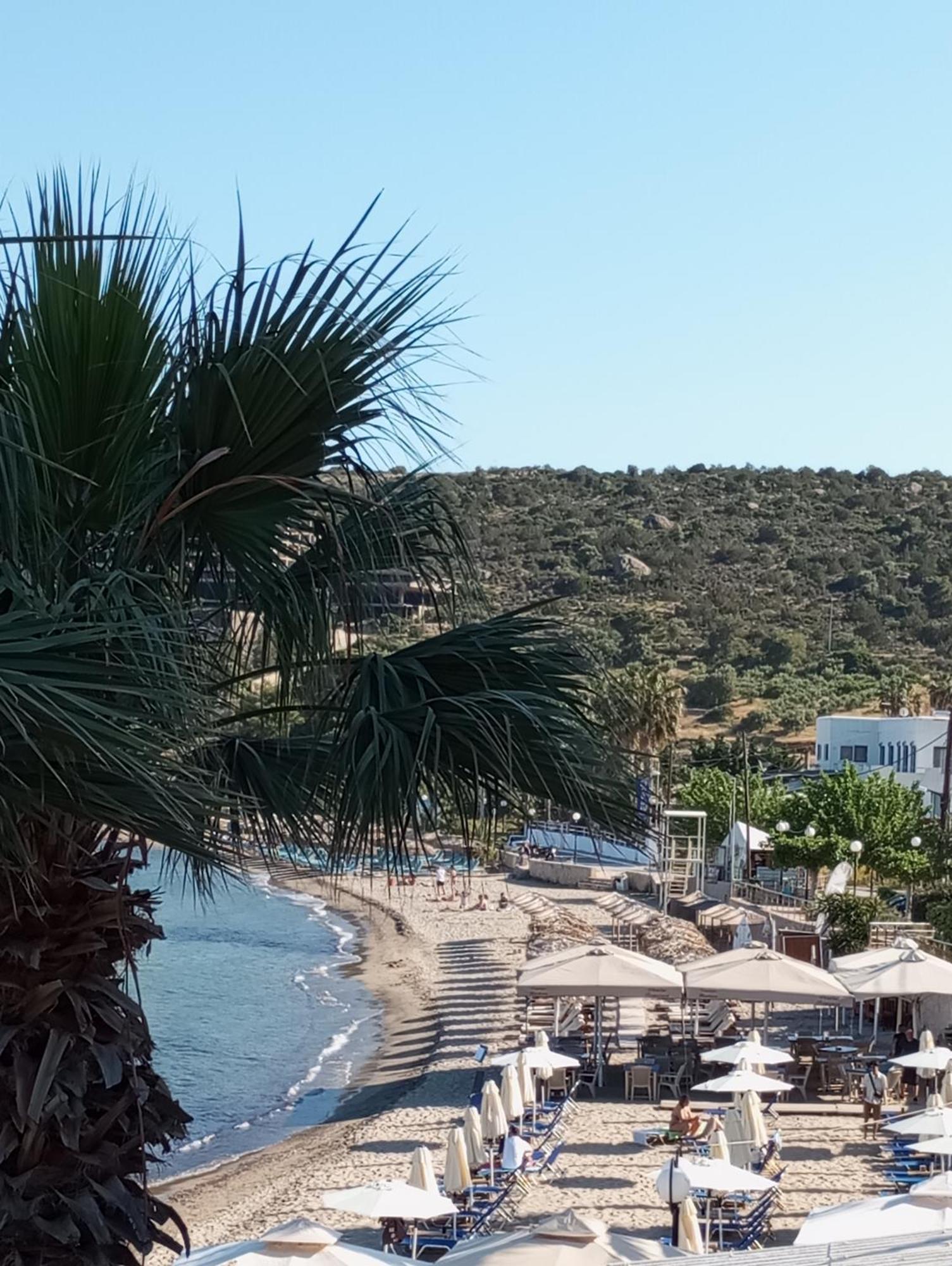 Svetlana & Michalis Oasis Hotel Agia Marina  Exterior foto